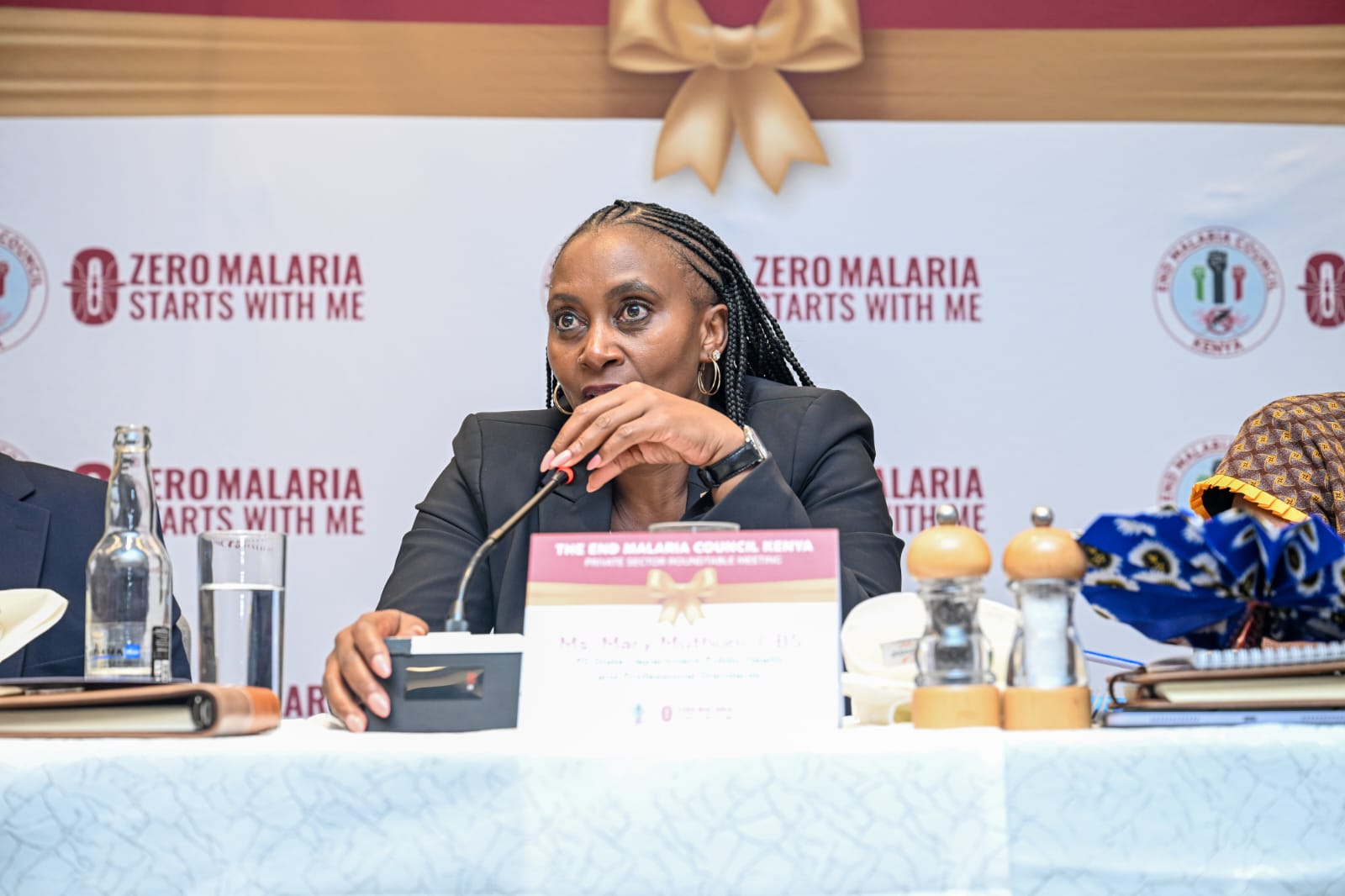 PS  Muthoni Calls for Stronger Public–Private Partnerships to Accelerate Malaria Elimination in Kenya