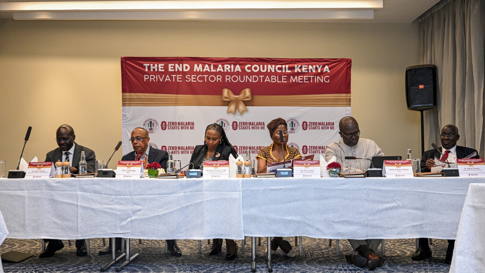 PS  Muthoni Calls for Stronger Public–Private Partnerships to Accelerate Malaria Elimination in Kenya