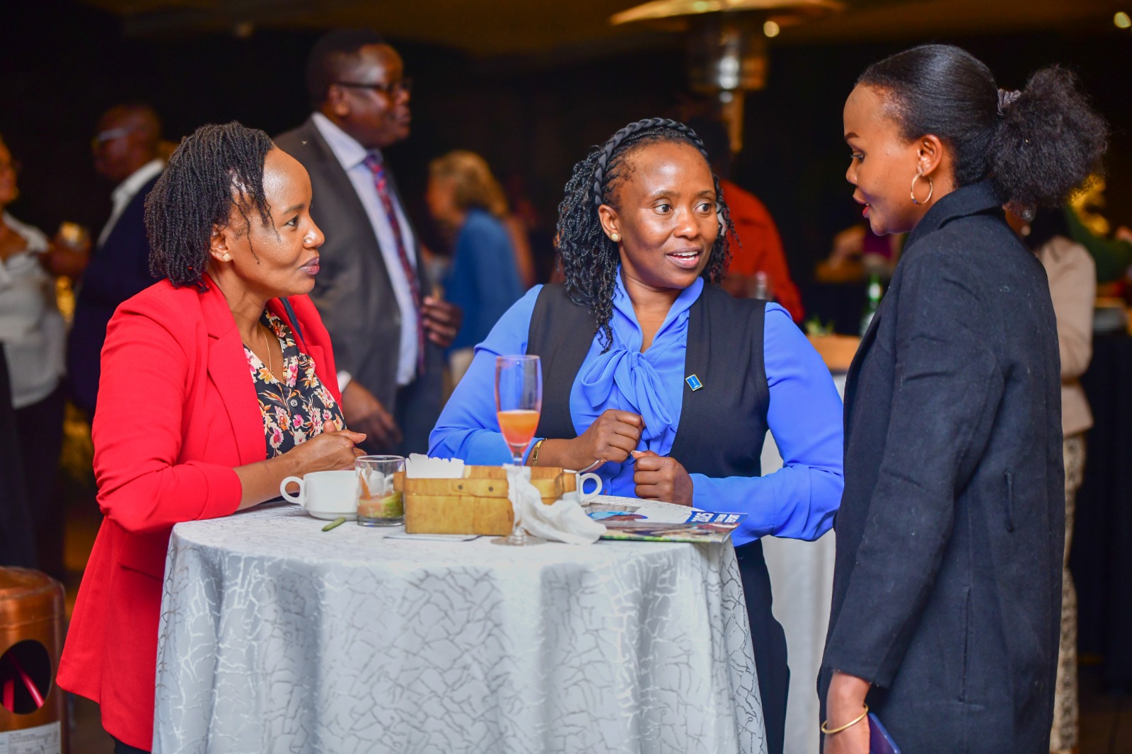 PS  Muthoni Reaffirms Commitment to Community Health Partnerships at Living Goods Stakeholders’ Event