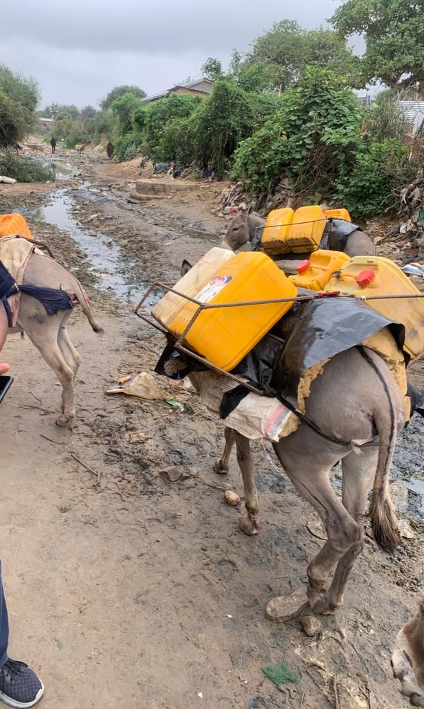 𝐊𝐞𝐧𝐲𝐚 & 𝐖𝐇𝐎 𝐇𝐞𝐚𝐥𝐭𝐡 𝐓𝐞𝐚𝐦𝐬 𝐄𝐯𝐚𝐥𝐮𝐚𝐭𝐞 𝐂𝐡𝐨𝐥𝐞𝐫𝐚 𝐏𝐫𝐞𝐯𝐞𝐧𝐭𝐢𝐨𝐧 𝐌𝐞𝐚𝐬𝐮𝐫𝐞𝐬 𝐢𝐧 𝐌𝐨𝐲𝐚𝐥𝐞 𝐀𝐡𝐞𝐚𝐝 𝐨𝐟 𝐄𝐥 𝐍𝐢ñ𝐨 𝐑𝐚𝐢𝐧𝐬