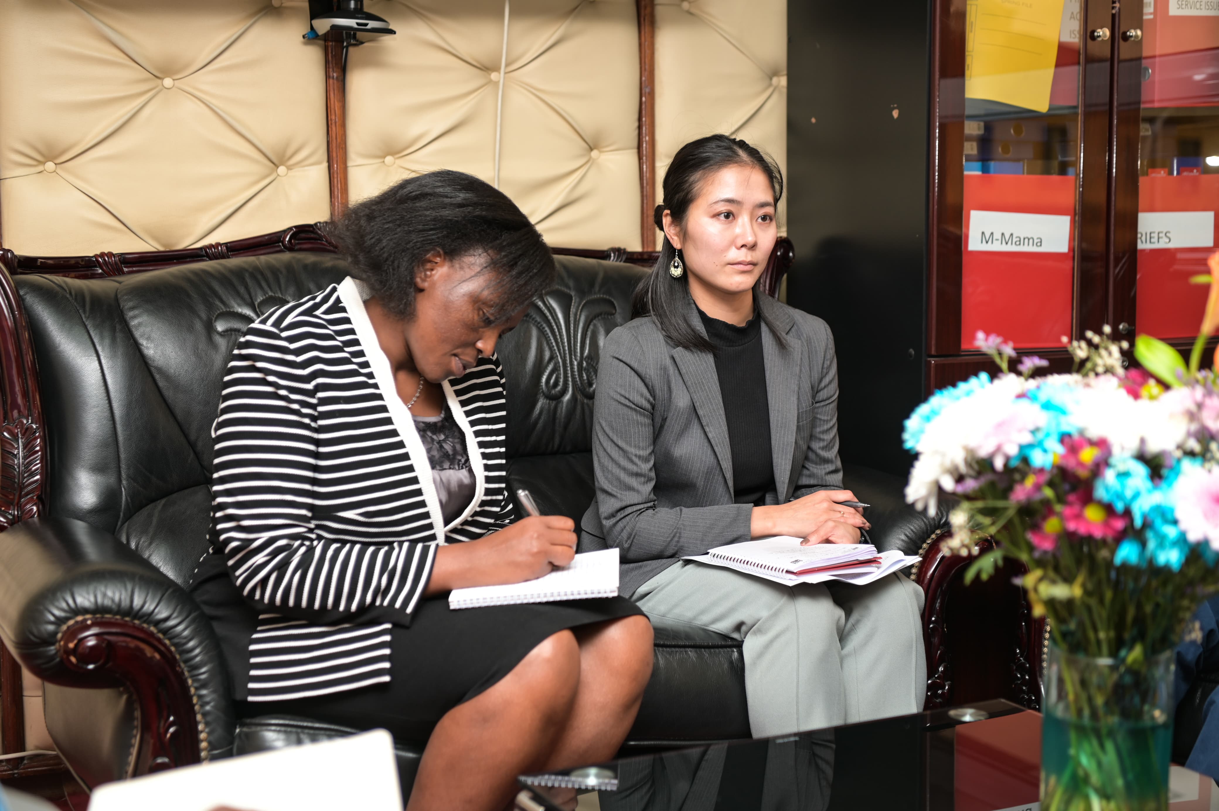 Kenya Reinforcing Healthcare Collaboration with Japan