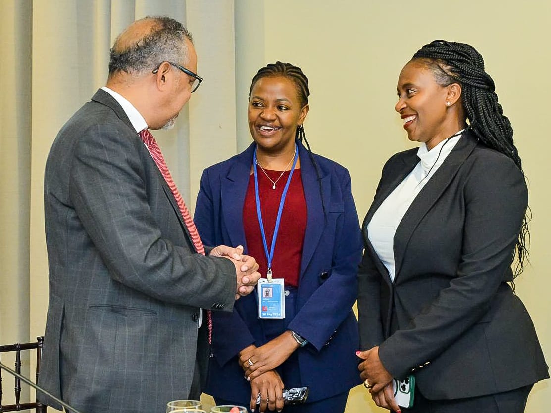 PS Muthoni highlights Kenya's priority programmes in health at a high level meeting in New York.