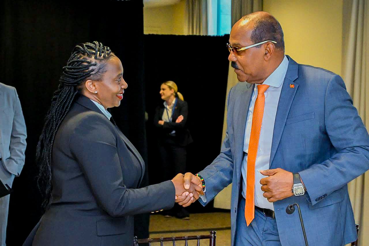 PS Muthoni highlights Kenya's priority programmes in health at a high level meeting in New York.