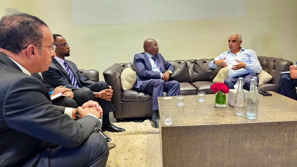 PS Kimtai Meets Moroccan Health Minister to Foster Health Collaboration 