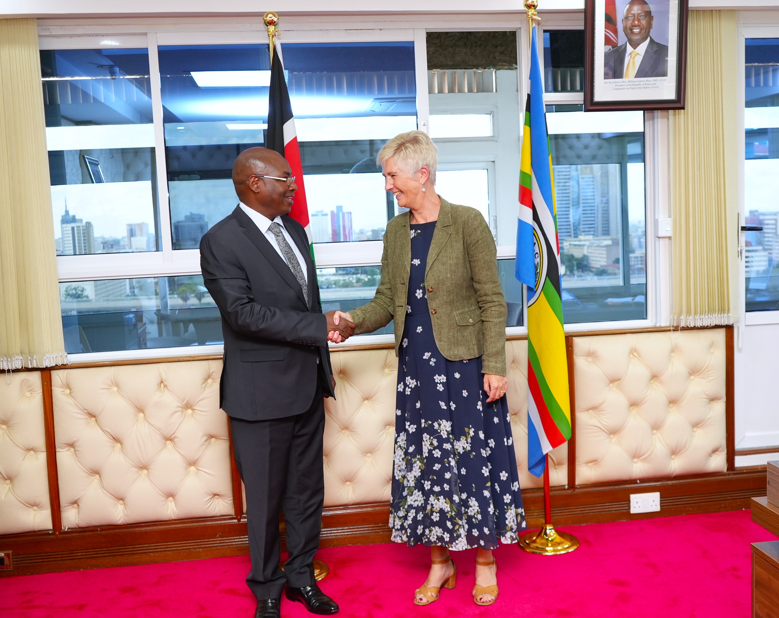 Swedish Ambassador and Kenyan Medical Official Discuss Healthcare Collaboration and Cancer Care Awareness