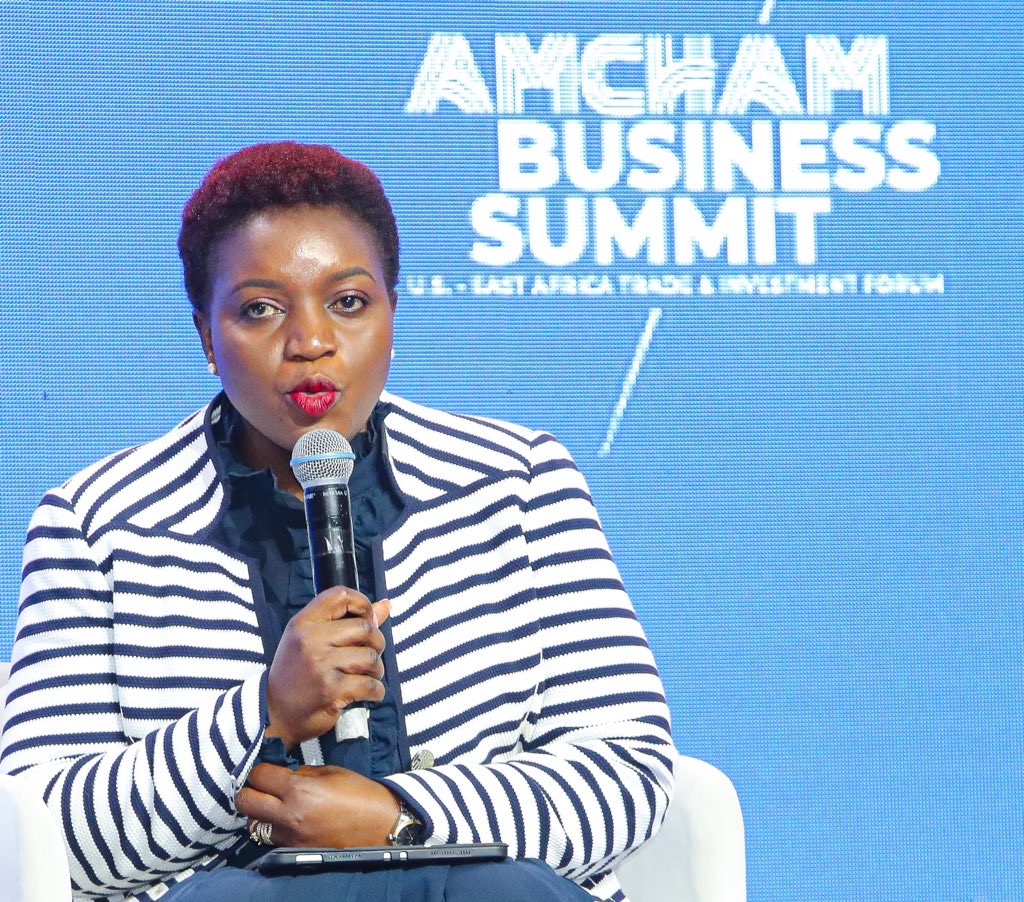 Health Cabinet Secretary Advocates for Primary Healthcare Access at AmCham Business Summit