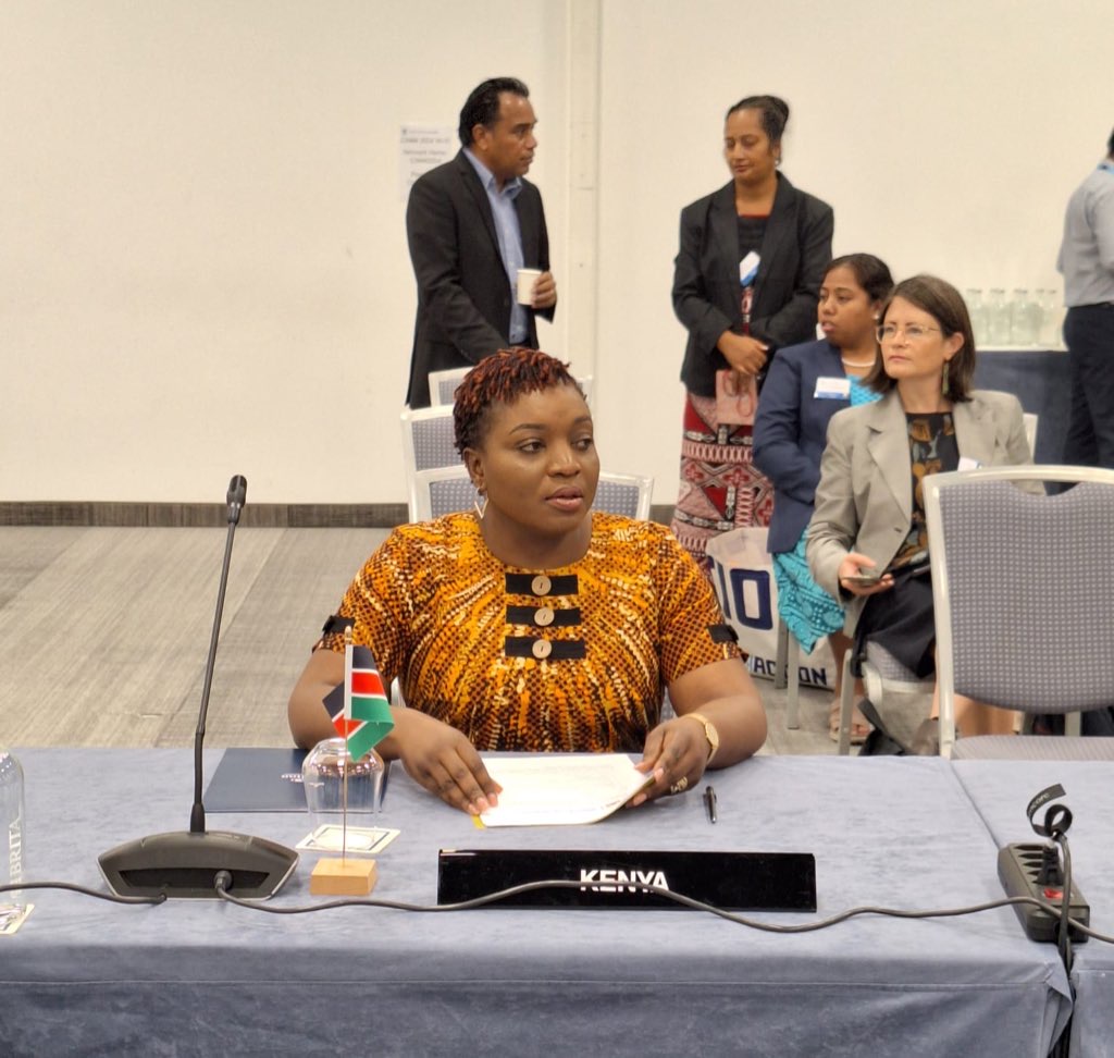 Kenya Reaffirms Commitment to Universal Health Coverage at Commonwealth Health Ministers Meeting