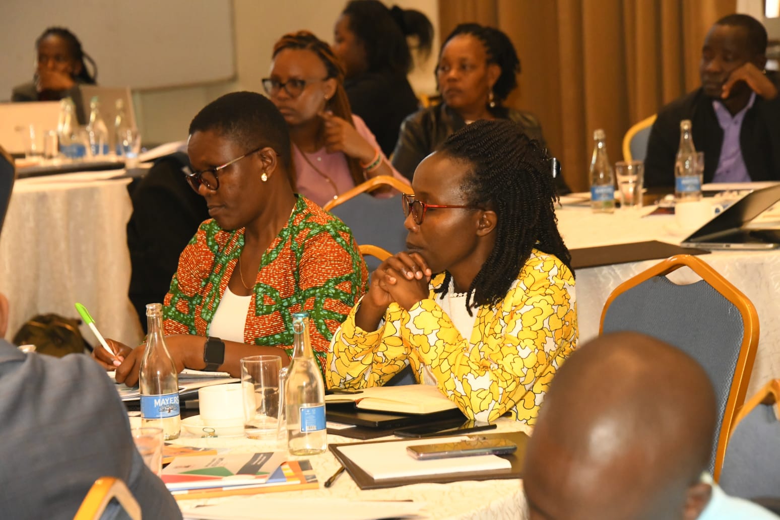 Division of Mental Health Takes Steps to Integrate Maternal Mental Health and Address Key Challenges