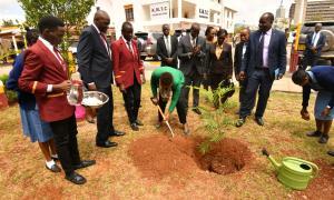 Nakhumicha: KMTC A Critical Cog In Universal Healthcare Agenda