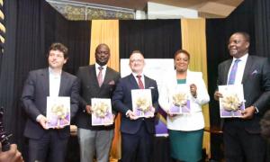 Accountability in MoH