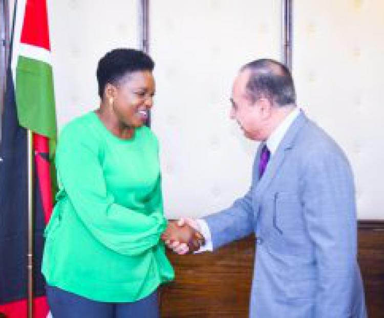 Kenya And Egypt Discuss Areas Of Mutual Cooperation In Healthcare And Education.