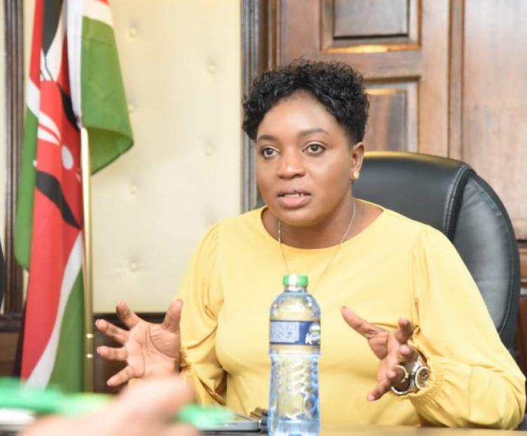 Cabinet Secretary For Health Engages With Partners And Donors To Advance Universal Healthcare In Kenya