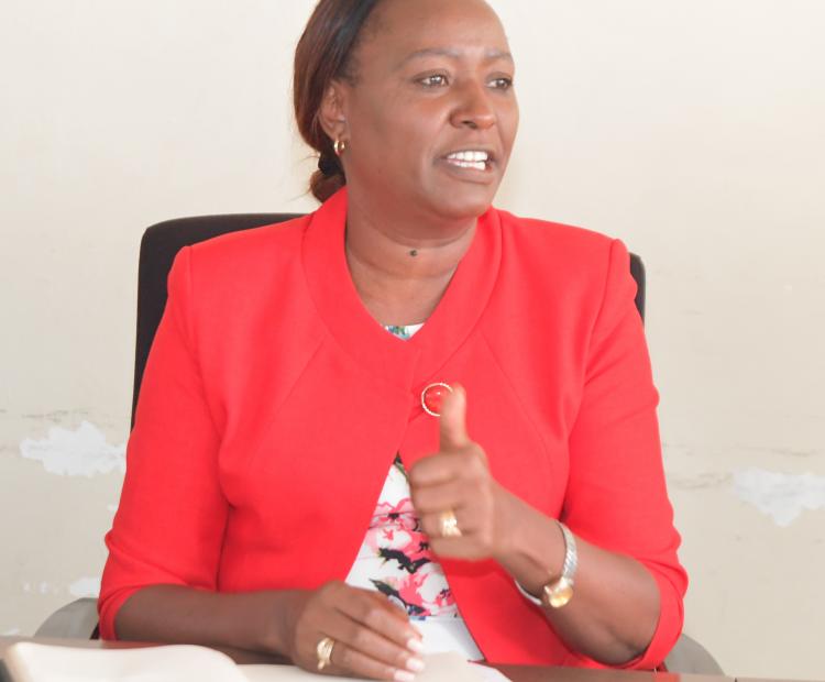 Strategic Plan Of The State Department For Public Health And Professional Standards