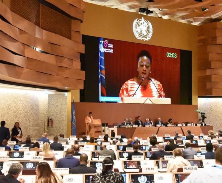 Kenya's Cabinet Secretary for Health, Nakhumicha S. Wafula, delivered a compelling statement at the 76th World Health Assembly (WHA)