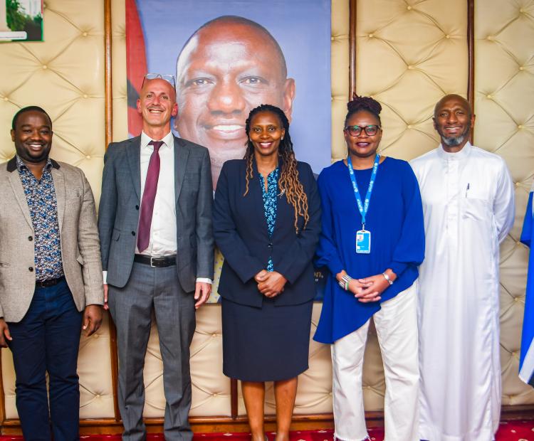 Scaling up Primary Health Networks for Universal Health Coverage 