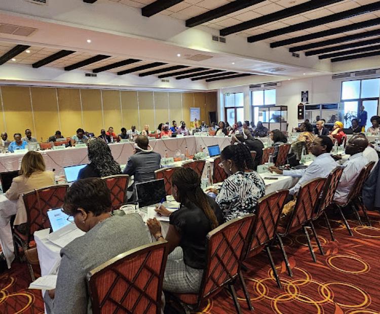 𝐀𝐝𝐯𝐚𝐧𝐜𝐢𝐧𝐠 𝐀𝐜𝐭𝐢𝐨𝐧 𝐨𝐧 𝐀𝐟𝐫𝐢𝐜𝐚'𝐬 𝐍𝐮𝐭𝐫𝐢𝐭𝐢𝐨𝐧 𝐂𝐡𝐚𝐥𝐥𝐞𝐧𝐠𝐞𝐬 𝐁𝐞𝐲𝐨𝐧𝐝 𝟐𝟎𝟐𝟓 