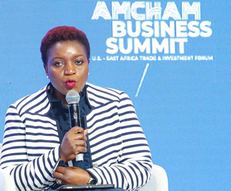 Health Cabinet Secretary Advocates for Primary Healthcare Access at AmCham Business Summit