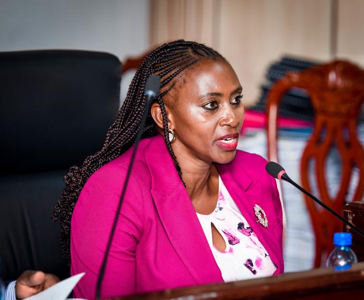 Advocating for Increased Resources to Enhance Preventive and Promotive Health Programs 