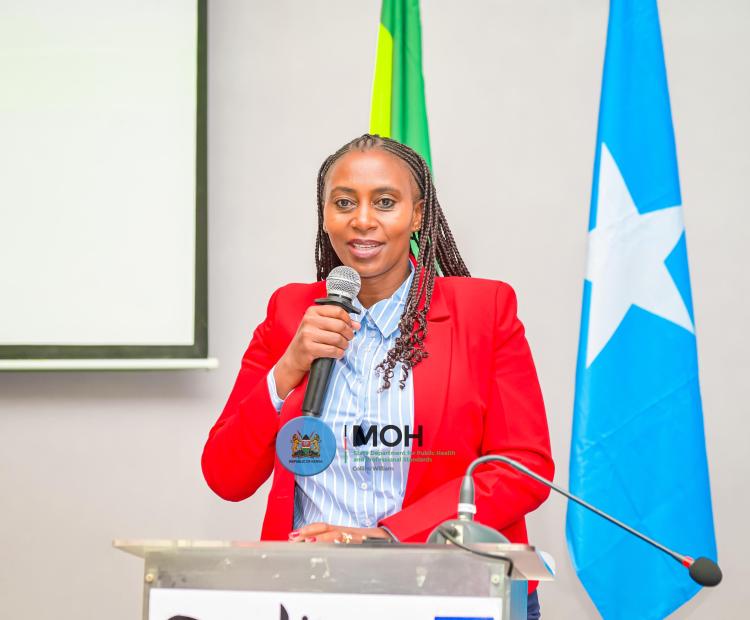 Kenya Makes Strides in Primary Health Care Network Implementation 