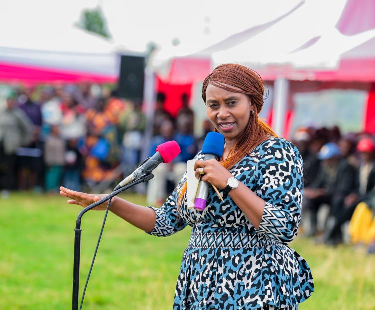 Government establishes and activates 100% of the targeted Primary Care Networks for Laikipia County 