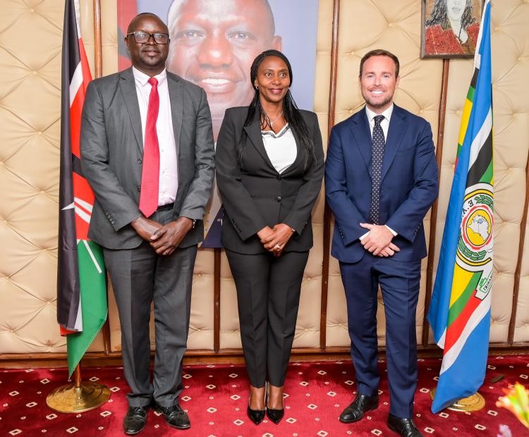 Exploring Partnerships to Accelerate Universal Health Coverage 