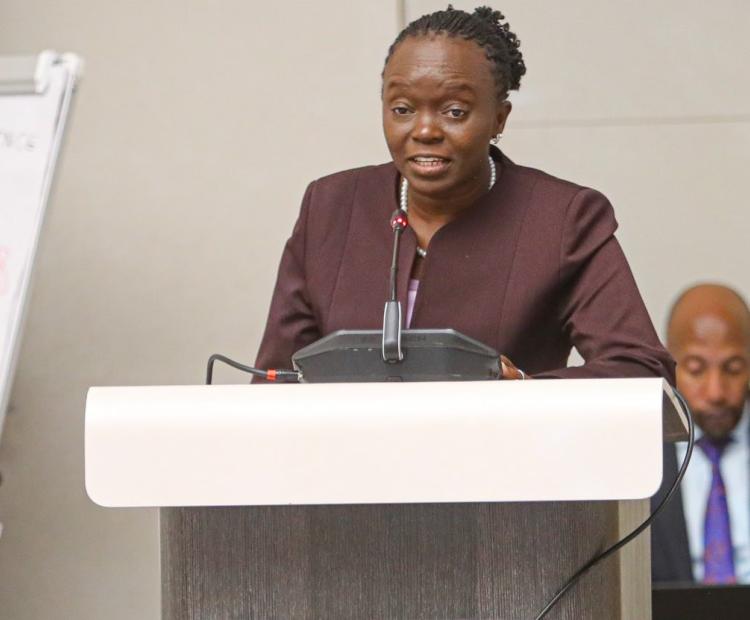 Health CS and PS Appear Before Senate Committee to Address Social Health Insurance Tariffs