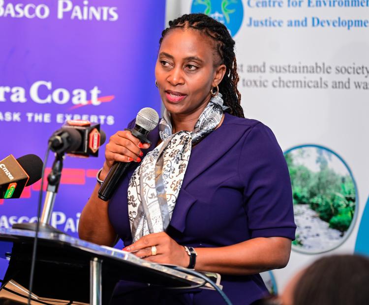 PS Muthoni calls for partnerships to combat Lead Exposure in the Country 