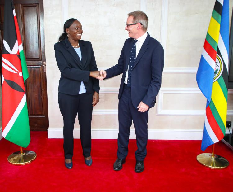 British High Commissioner Discusses Health Collaborations with Kenya’s Cabinet Secretary