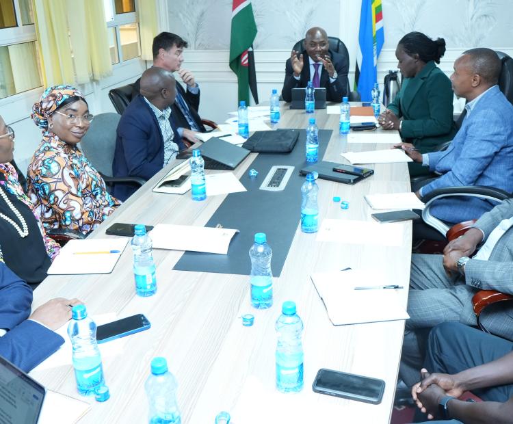 Ministry of Health Reviews Grant Cycle 7 Implementation with Global Fund Team