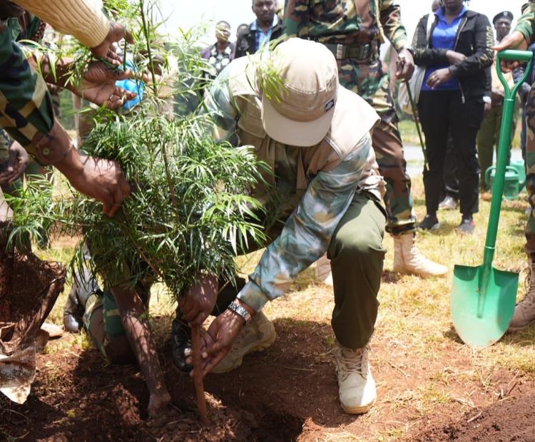 PS Harry Kimtai Leads Tree Planting Initiative in Elgeyo Marakwet