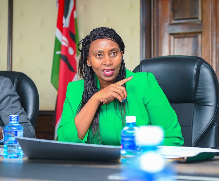 Ministry of Health and WHO Leadership Meeting on Emergency Preparedness and Program Sustainability