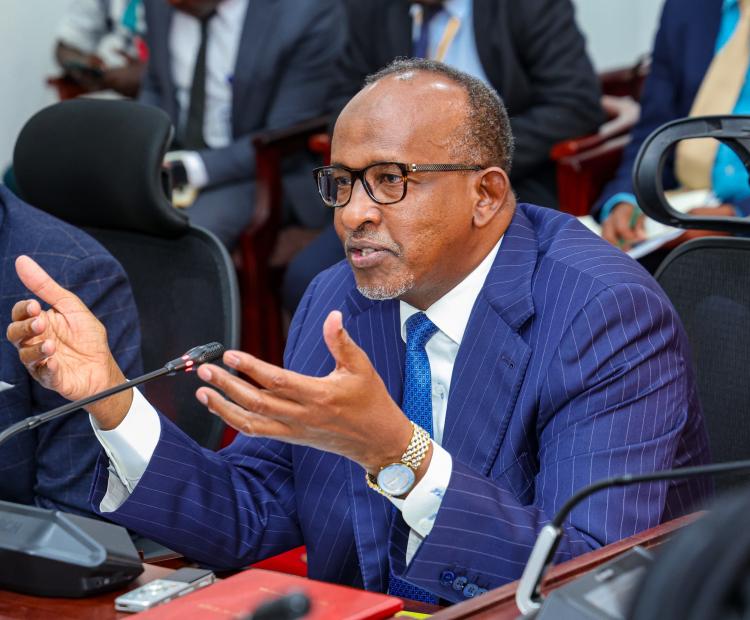 Health CS Hon. Aden Duale Briefs Senate Committee on Digital Health Regulations