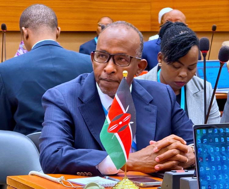Hon. Aden Duale Attends WHO Africa Health Ministers Coordination Meeting in Geneva