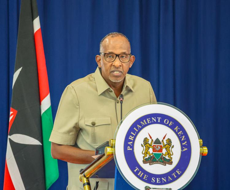 Duale Outlines Health Sector Reforms and UHC Progress to Senate