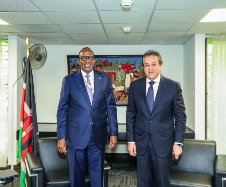 Kenya, Egypt Advance Health Cooperation at WHS Nairobi 2026