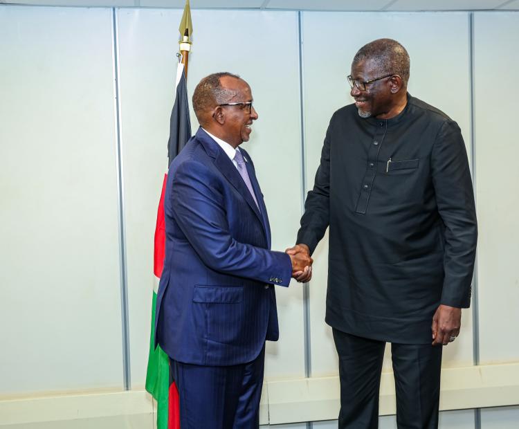 Kenya Calls for Stronger Global Action on Snakebite