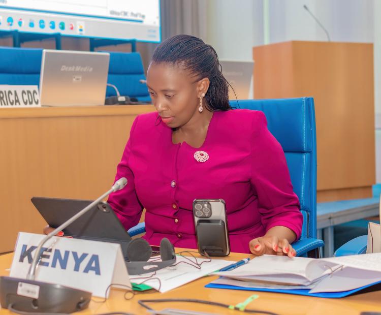 Kenya Advances Regional Health Security at Brazzaville Cross-Border Summit Led By PS Muthoni
