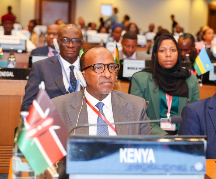 Kenya Calls for Action to Build a Self-Reliant African Health Sector
